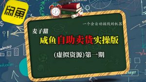 麦子甜咸鱼自助卖货实操版(虚拟资源)一个会自动搞钱的机器-万象聊项目