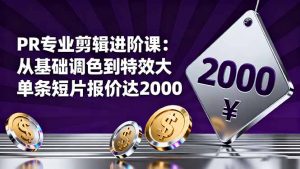 PR专业剪辑进阶课:从基础调色到特效大片的进阶技能,单条短片报价达2000-万象聊项目