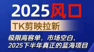 2025风口TK剪映capcut拉新项目,极限高客单,市场空白,2025下半年真正的蓝海项目-万象聊项目