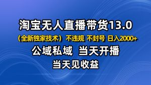 淘宝无人直播13.0,公域私域技术,不封号,不违规 布局下半年旺季赛道,日入2000+-万象聊项目