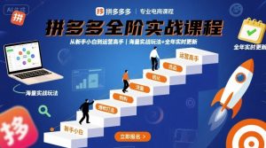 拼多多全阶实战课程，从新手小白到运营高手，海量实战玩法+全年实时更新【2025年10月更新】-万象聊项目