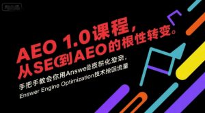 AEO 1.0 课程,从SEO到AE0的基命性转变,手把手教会你用AnswerEngineOptimization技术抢回流量(更新)-万象聊项目