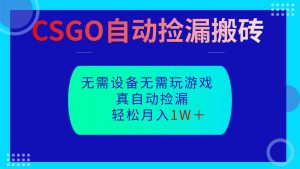 CSGO自动捡漏搬砖，当天操作当天见结果，无需了解游戏，包教包会包落地-万象聊项目