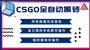 CSGO全自动搬砖，年底钱回家好项目，当天可拿到结果，新手小白轻松月入1W+【揭秘】-万象聊项目