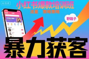 小红书爆款培训班，小红书获客野路子流量打法，暴力持续获客-万象聊项目