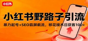 小红书野路子引流，暴力起号+SEO霸屏截流，移花接木日获客100+-万象聊项目