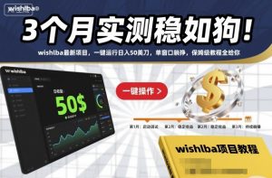 3个月实测稳如狗！wishlba最新项目，一键运行日入50美刀，单窗口躺挣，保姆级教程全给你【揭秘】-万象聊项目