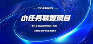 小任务联盟项目:一台电脑每天只需10分钟,轻松简单稳定-万象聊项目
