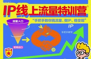 IP线上流量特训营，手把手教你搞流量、做IP、稳变现-万象聊项目