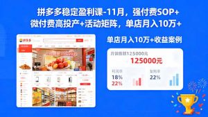 拼多多稳定盈利课-11月,强付费SOP+微付费高投产+活动矩阵,单店月入10w+-万象聊项目