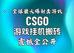 【年底大揭秘】基于全球最火爆的射击CSGO游戏挂G搬砖,日入5张+,震撼公开-万象聊项目