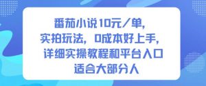 番茄小说10米每单，实拍玩法，0成本好上手，详细实操教程和平台入口适合大部分人-万象聊项目