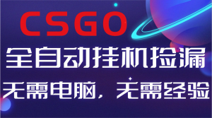【副业好项目】全球火爆游戏CSGO自动捡漏,新手小白日入500+-万象聊项目
