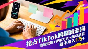 抢占TikTok跨境新蓝海：流量逻辑+变现方式+账号运营，新手月入1万+-万象聊项目