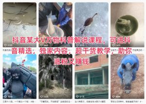 抖音某大V万物科普解说课程，可进抖音精选，独家内容，超干货教学，助你涨粉又賺钱-万象聊项目