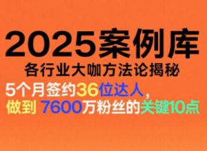 2025案例库，收录各行业大咖的方法论，各行业大咖方法论揭秘-万象聊项目