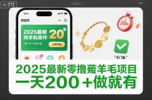 2025最新零撸薅羊毛项目，纯手机操作，20秒一单，无任何门槛，一天200+做就有【揭秘】-万象聊项目