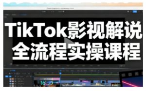 TikTok影视解说全流程实操，手把手教你打造TK爆款解说视频-万象聊项目