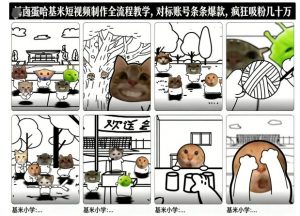 卤蛋哈基米短视频制作全流程教学，条条爆款，疯狂吸粉几十万-万象聊项目