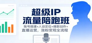 超级IP流量陪跑班：账号搭建+人设定位+爆款创作+直播运营，涨粉变现全流程-万象聊项目