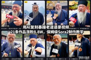 用AI复刻暴躁老道语录视频，21条作品涨粉8.8W，保姆级Sora2制作教学-万象聊项目