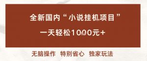 全新国内小说挂G项目，多窗口无脑跑，一天轻松1k+，特别省心【揭秘】-万象聊项目