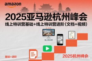 2025亚马逊杭州峰会，线上特训营基础+线上特训营进阶(文档+视频)-万象聊项目
