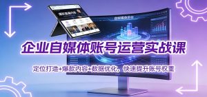 企业自媒体账号运营实战课：定位打造+ 爆款内容+数据优化，快速提升账号权重-万象聊项目