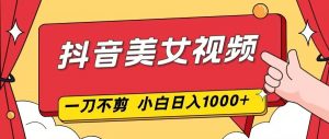 抖音美女视频，一刀不剪，两分钟一条视频，小白轻松上手，日入1000-万象聊项目